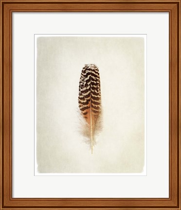 Framed Feather I Print