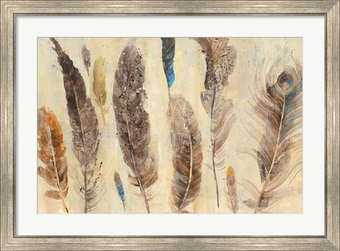 Framed Feather Study Print