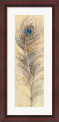 Framed Blue Eyed Feathers III Print
