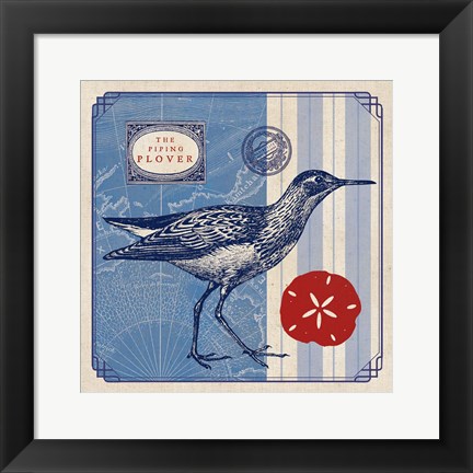 Framed Sea Bird I Print