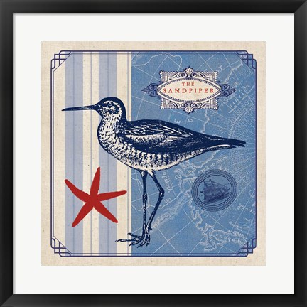 Framed Sea Bird II Print