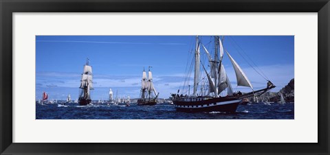 Framed Tall Ships, Brittany, France Print