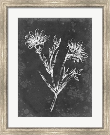 Framed Slate Floral IV Print