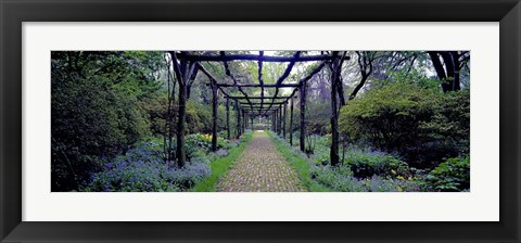 Framed Garden path, Old Westbury Gardens, Long Island Print