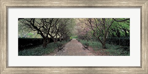 Framed Through Conservatory Garden, Central Park, NYC Print