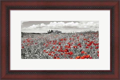 Framed Farm House with Cypresses and Poppies, Tuscany, Italy Print