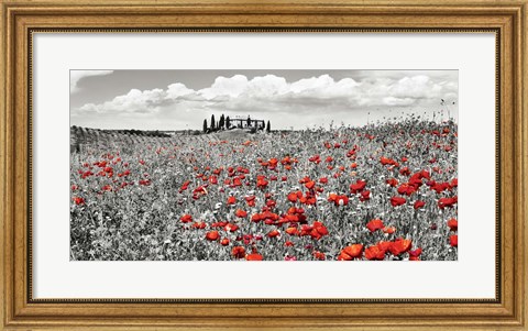 Framed Farm House with Cypresses and Poppies, Tuscany, Italy Print