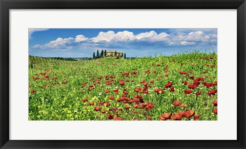 Framed Farm House with Cypresses and Poppies, Tuscany, Italy Print