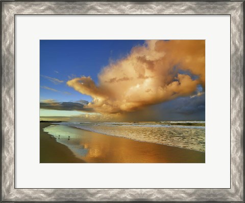 Framed Sunset On The Ocean, New South Wales, Australia Print