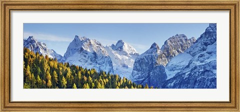 Framed Larch Forest And Cima Bel Pra, Italy Print