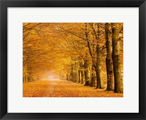 Framed Woods in Autumn Print