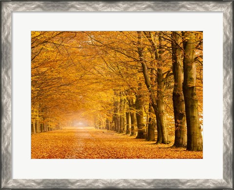 Framed Woods in Autumn Print