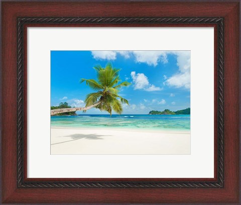 Framed Tropical beach, Seychelles (detail) Print
