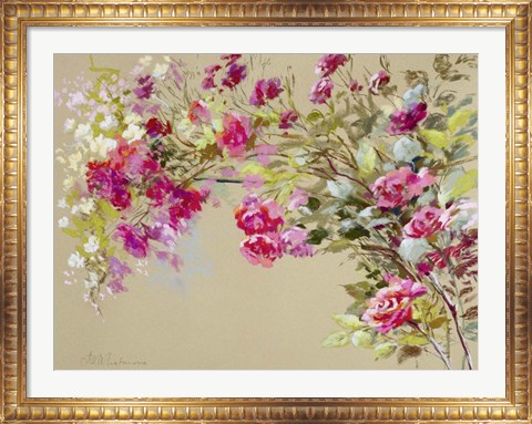 Framed Garden of the Rose II Print