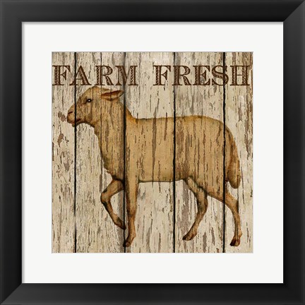 Framed Farm Fresh Lamb Print