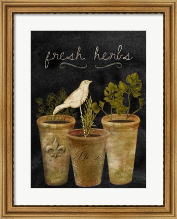 Framed Fresh Herbs Print
