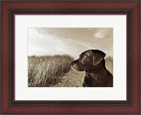 Framed At the Beach Print