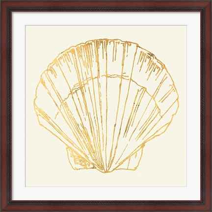 Framed Coastal Breeze Shell Sketches V Print