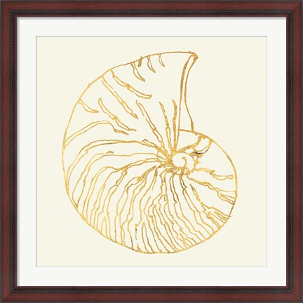 Framed Coastal Breeze Shell Sketches VII Print