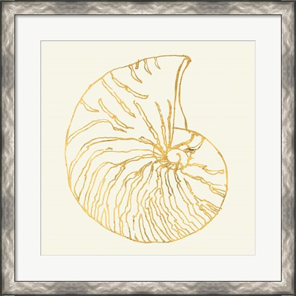 Framed Coastal Breeze Shell Sketches VII Print