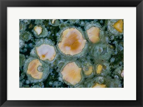 Framed Ocean Jasper from Madagascar 2 Print