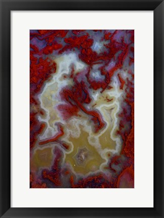 Framed Red Moss Agate Slab Print