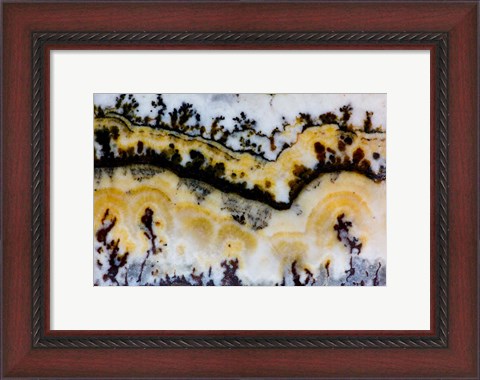 Framed Silver Lace Onyx 1 Print