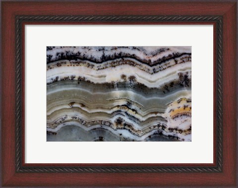 Framed Silver Lace Onyx 2 Print