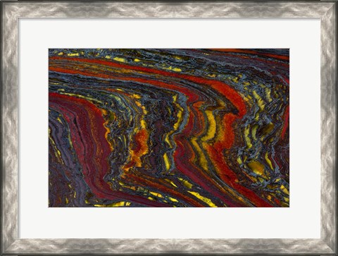 Framed Tiger Iron in Red, Yellow, Blue Print