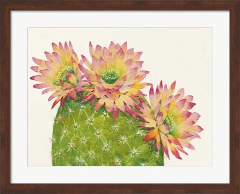 Framed Desert Blossoms I Print