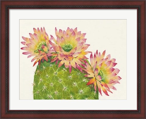 Framed Desert Blossoms I Print