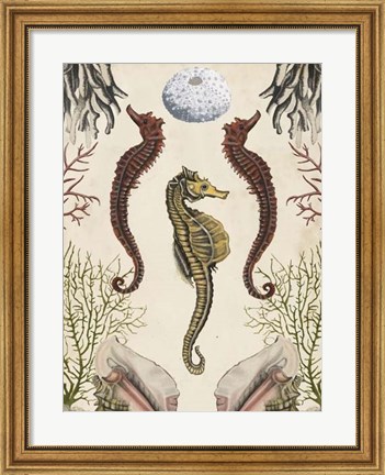 Framed Antiquarian Menagerie - Seahorse Print