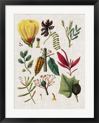 Framed Floral Assemblage I Print
