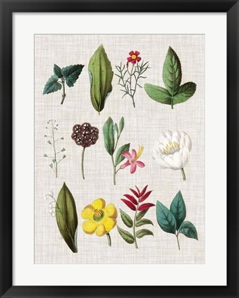 Framed Floral Assemblage II Print