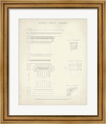 Framed Greek &amp; Roman Architecture V Print