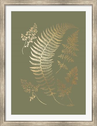 Framed Gold Foil Ferns IV on Mid Green - Metallic Foil Print