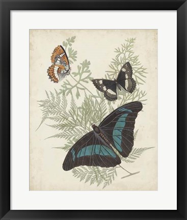 Framed Butterflies &amp; Ferns II Print