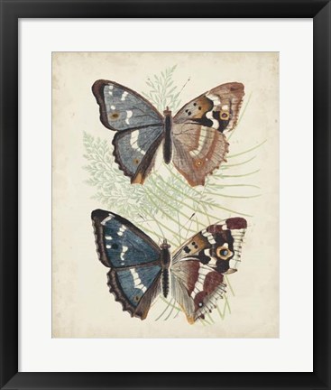 Framed Butterflies &amp; Ferns IV Print