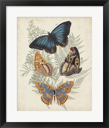 Framed Butterflies &amp; Ferns V Print