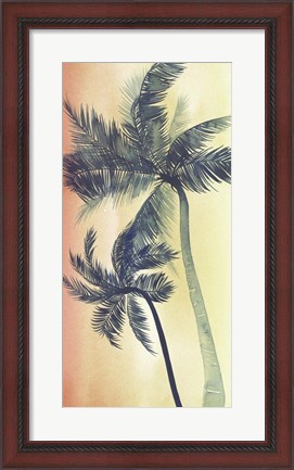 Framed Vintage Palms I Print