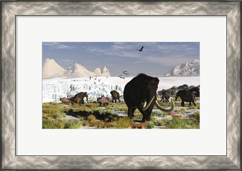Framed Woolly Mammoths and Woolly Rhinos in a Prehistoric Landscape Print