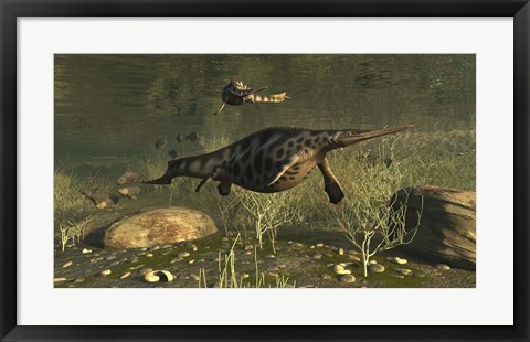 Framed Hupehsuchus Marine Reptiles Swimming In Triassic Waters Print
