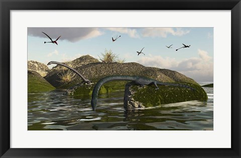 Framed Tanystropheus Fishes From The Rocks Print