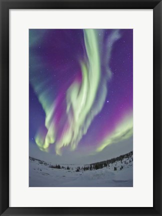 Framed Northern Lights in Churchill, Manitoba, Canada Print