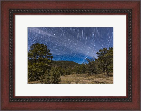 Framed Circumpolar star trails over the Gila National Forest in southern New Mexico Print