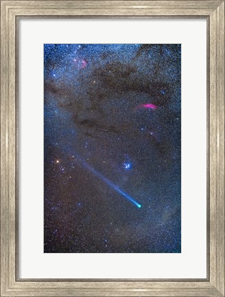 Framed Comet Lovejoy&#39;s long ion tail in Taurus Print