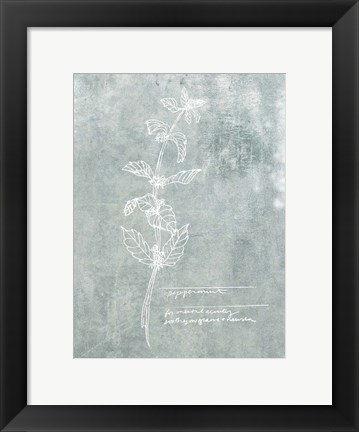 Framed Essential Botanicals III Print