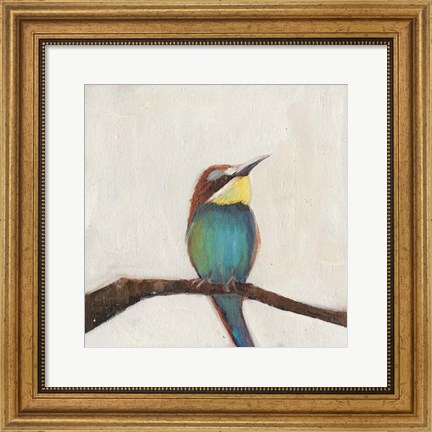 Framed Bird Profile II Print