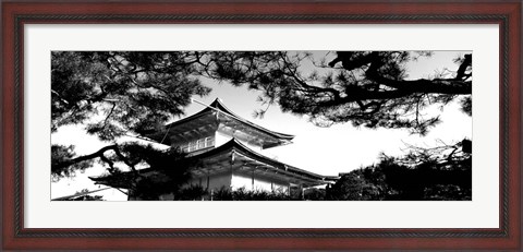 Framed Low angle view of trees in front of a temple, Kinkaku-ji Temple, Kyoto City, Japan Print