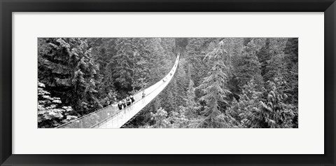 Framed Capilano Bridge, Suspended Walk, Vancouver, British Columbia, Canada BW Print